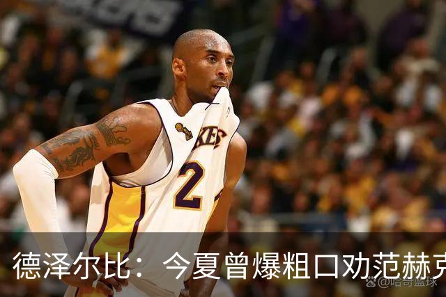 德泽尔比：今夏曾爆粗口劝范赫克加盟；热刺还要再签2-3人