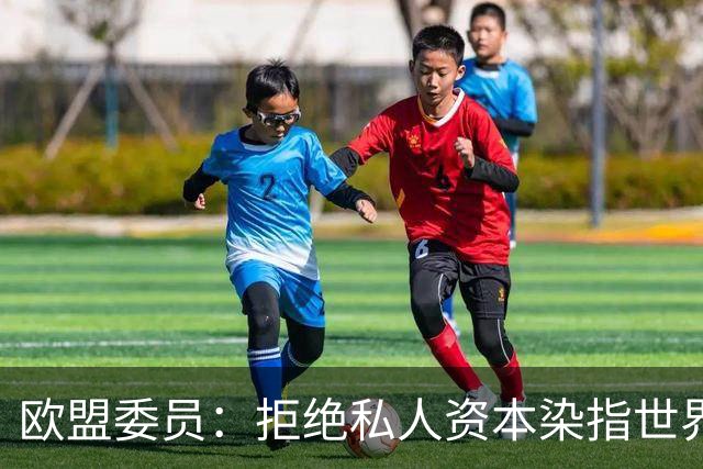 欧盟委员：拒绝私人资本染指世界杯 将调查是否违规