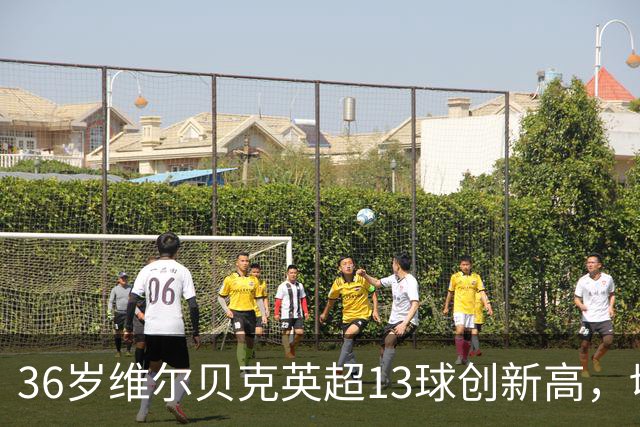 36岁维尔贝克英超13球创新高，切尔西追逐他图什么？